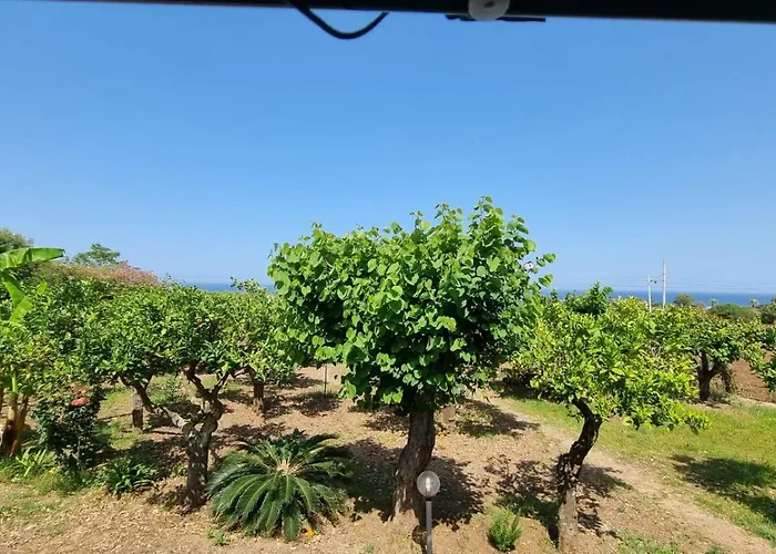 Orange * Capo Vaticano