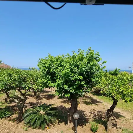 Orange * Capo Vaticano